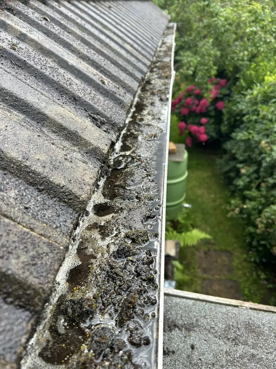 Gutter full of moss, leaves and silt before cleaning