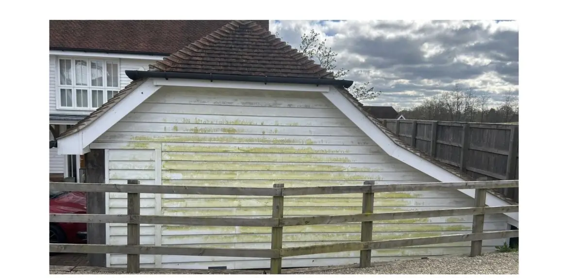 White timber cladding on an outbuilding stained green with algae before cleaning