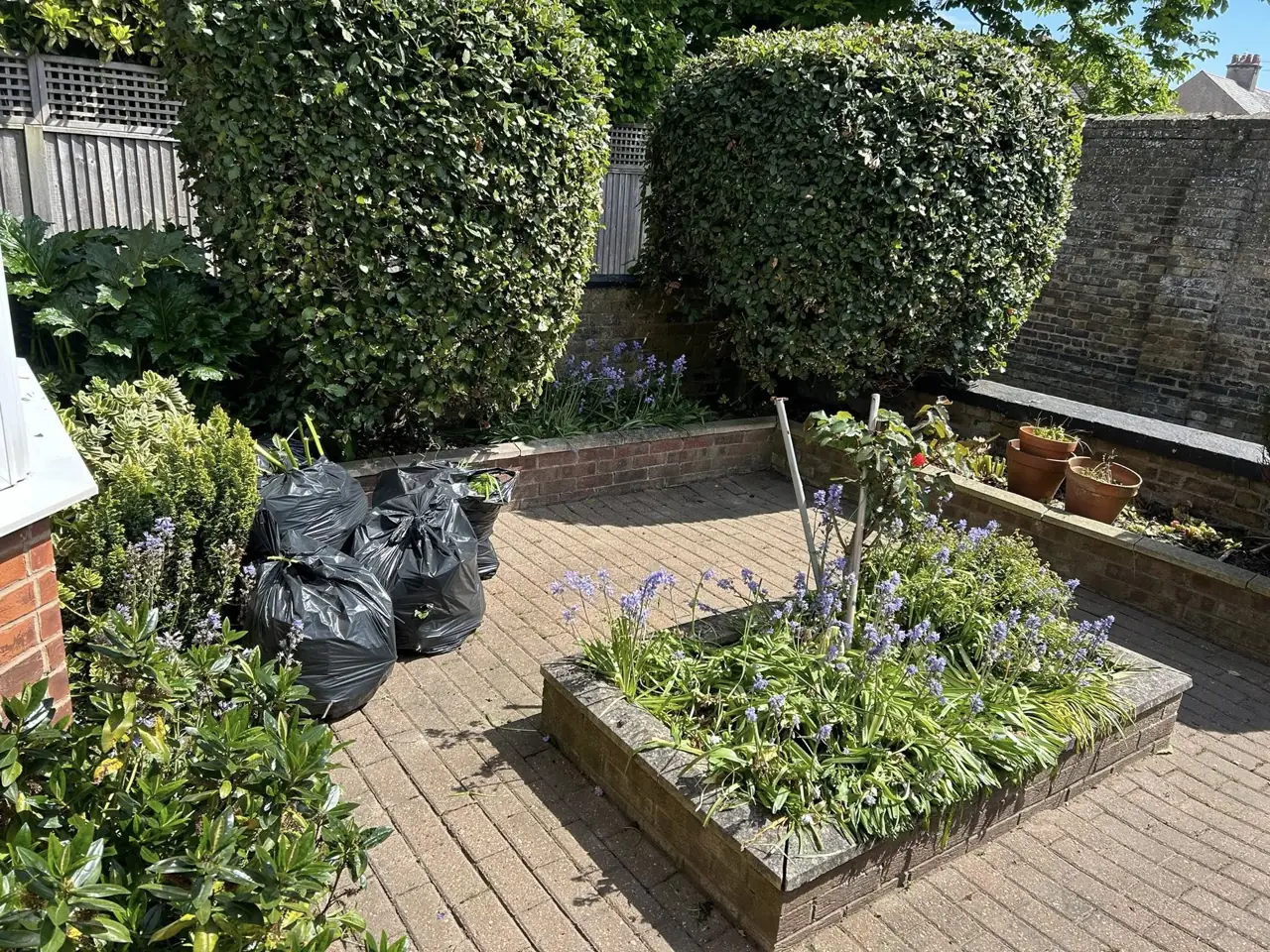 Tidy garden with clipped hedges and planting around a block paved area