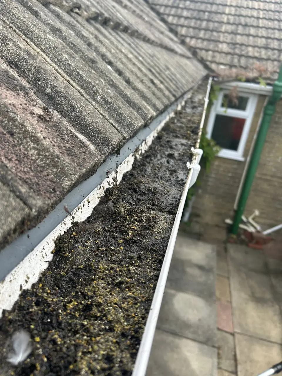 Gutter run holding silt and moss above a side passage