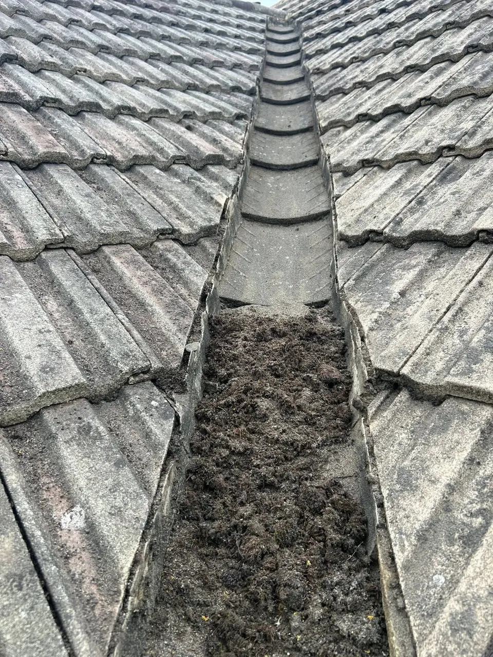 Roof valley between concrete tiles packed with moss and debris